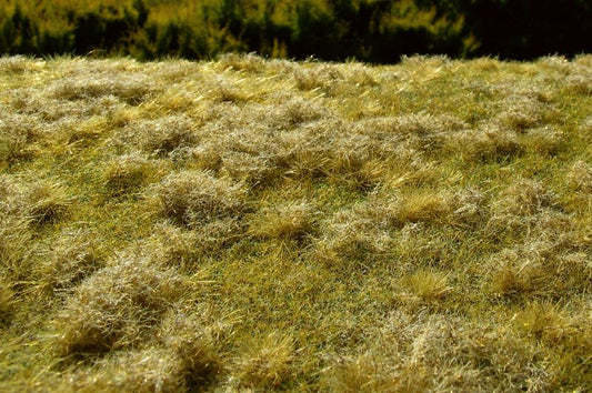 Model Scene F523 Fallow field, Late Summer